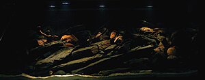 Click image for larger version

Name:	IMG_9552.jpg
Views:	171
Size:	47.5 KB
ID:	2155031