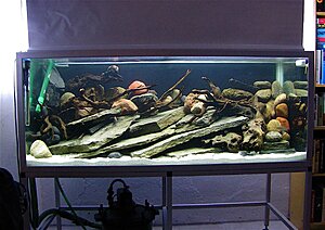 Click image for larger version

Name:	IMG_9411.jpg
Views:	159
Size:	169.8 KB
ID:	2155033