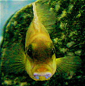 Klicka på bilden för större version

Namn: DSCN2137_2.JPG
Visningar: 312
Storlek: 77,2 KB
ID: 2155188