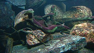 Click image for larger version

Name:	IMG_9924.jpg
Views:	253
Size:	161.2 KB
ID:	2157219