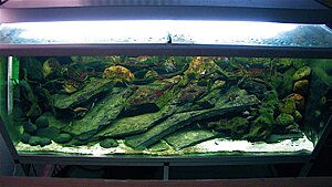 Click image for larger version

Name:	IMG_0105.jpg
Views:	263
Size:	135.7 KB
ID:	2158314