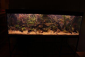 Click image for larger version

Name:	IMG_5790.JPG
Views:	296
Size:	264.1 KB
ID:	2163487