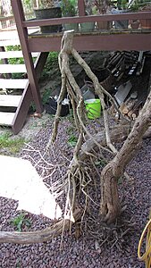 Click image for larger version

Name:	IMG_0085.jpg
Views:	150
Size:	188.9 KB
ID:	2165869