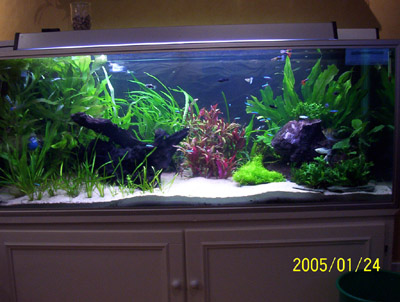 akvarium tips -