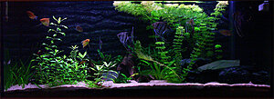 Klicka på bilden för större version

Namn: Rio240.jpg
Visningar: 3053
Storlek: 188,2 KB
ID: 2175089