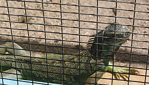 Klicka på bilden för större version

Namn: IMG_4505.jpg
Visningar: 129
Storlek: 148,2 KB
ID: 2176133