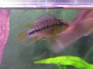IMG_4725.jpg