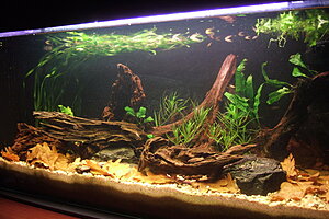 Click image for larger version

Name:	105 hö1.JPG
Views:	335
Size:	184.9 KB
ID:	2181069