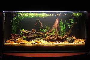 Click image for larger version

Name:	105 fram1.JPG
Views:	483
Size:	142.3 KB
ID:	2181070