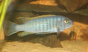 IMG_1651.JPG
