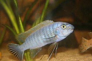 IMG_1650.JPG
