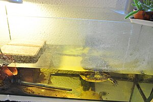 DSC_0474.jpg