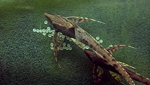 2012-10-23_18-52-14_142.jpg