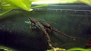 2012-10-23_18-51-45_275.jpg