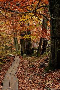 Klicka på bilden för större version

Namn: 04-9148.jpg
Visningar: 94
Storlek: 257,9 KB
ID: 2339376