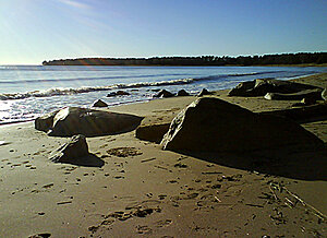 Klicka på bilden för större version

Namn: sstrand2.jpg
Visningar: 73
Storlek: 163,9 KB
ID: 2339649