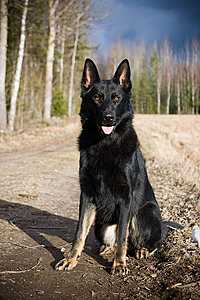 Klicka på bilden för större version

Namn: jaakari1.jpg
Visningar: 143
Storlek: 180,5 KB
ID: 2339845