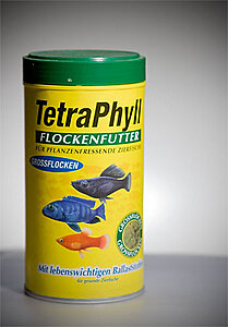 Klicka på bilden för större version

Namn: tetraphyll.jpg
Visningar: 145
Storlek: 36,0 KB
ID: 2339864