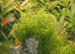Klicka på bilden för större version

Namn: IMG_7348.jpg
Visningar: 87
Storlek: 315,4 KB
ID: 2339882