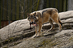 Klicka på bilden för större version

Namn: 11-4728.jpg
Visningar: 143
Storlek: 218,1 KB
ID: 2339960