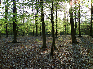 Klicka på bilden för större version

Namn: bok3.jpg
Visningar: 94
Storlek: 181,2 KB
ID: 2339998