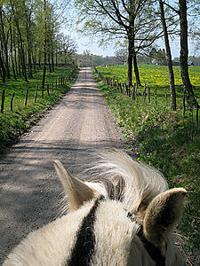 Klicka på bilden för större version

Namn: ridtur5.jpg
Visningar: 61
Storlek: 226,1 KB
ID: 2340016
