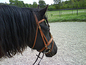 Klicka på bilden för större version

Namn: granitepaddock2.jpg
Visningar: 77
Storlek: 284,9 KB
ID: 2340084