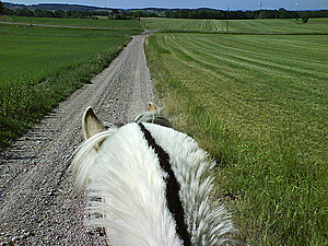 Klicka på bilden för större version

Namn: ridtur2.jpg
Visningar: 69
Storlek: 293,8 KB
ID: 2340211