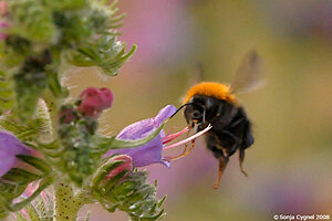 Klicka på bilden för större version

Namn: 29b-2388.jpg
Visningar: 151
Storlek: 217,1 KB
ID: 2340224