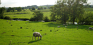 Klicka på bilden för större version

Namn: england28bz.jpg
Visningar: 73
Storlek: 487,3 KB
ID: 2340247