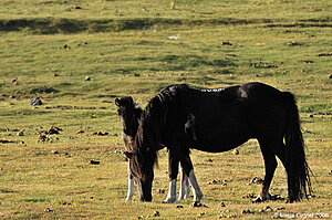 Klicka på bilden för större version

Namn: 06-7337.jpg
Visningar: 136
Storlek: 200,0 KB
ID: 2340313