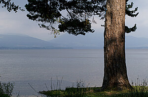 Klicka på bilden för större version

Namn: lochlomond2z.jpg
Visningar: 76
Storlek: 297,7 KB
ID: 2340391
