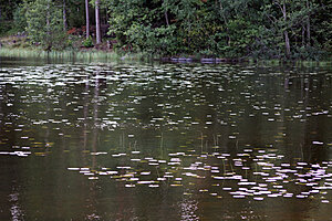 Klicka på bilden för större version

Namn: sjö.jpg
Visningar: 155
Storlek: 196,1 KB
ID: 2340473