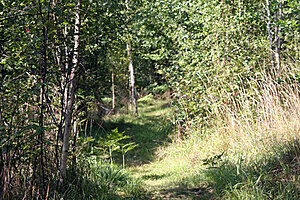 Klicka på bilden för större version

Namn: skog.jpg
Visningar: 179
Storlek: 276,2 KB
ID: 2340474