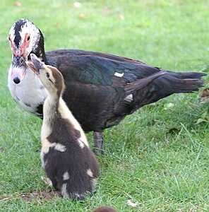 Klicka på bilden för större version

Namn: nabbas.jpg
Visningar: 112
Storlek: 121,3 KB
ID: 2340596