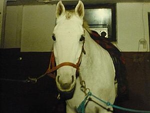 Klicka på bilden för större version

Namn: mio.JPG
Visningar: 123
Storlek: 25,1 KB
ID: 2340638