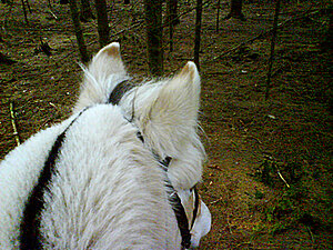 Klicka på bilden för större version

Namn: rtur3.jpg
Visningar: 91
Storlek: 327,8 KB
ID: 2340817
