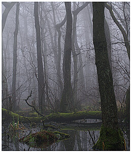 Klicka på bilden för större version

Namn: mist3z.jpg
Visningar: 93
Storlek: 298,5 KB
ID: 2340826
