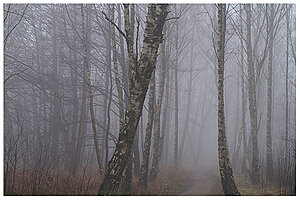 Klicka på bilden för större version

Namn: mist4z.jpg
Visningar: 96
Storlek: 309,0 KB
ID: 2340827