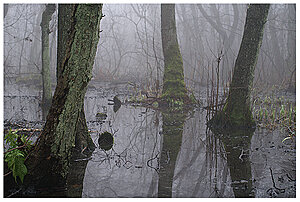 Klicka på bilden för större version

Namn: mist5z.jpg
Visningar: 105
Storlek: 337,0 KB
ID: 2340828