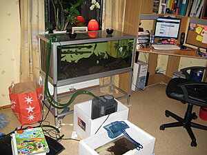 Klicka på bilden för större version

Namn: kaos3.jpg
Visningar: 124
Storlek: 309,6 KB
ID: 2340835