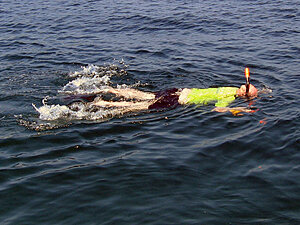 Klicka på bilden för större version

Namn: 090117-snorkling.jpg
Visningar: 127
Storlek: 150,4 KB
ID: 2340902