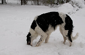 Klicka på bilden för större version

Namn: feb 09.jpg
Visningar: 88
Storlek: 256,2 KB
ID: 2340955