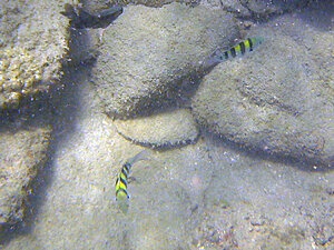 Klicka på bilden för större version

Namn: narima-fröken4.jpg
Visningar: 110
Storlek: 183,9 KB
ID: 2340975