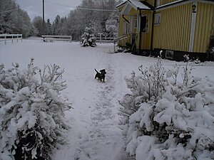 Klicka på bilden för större version

Namn: PICT8162.jpg
Visningar: 144
Storlek: 135,8 KB
ID: 2341085
