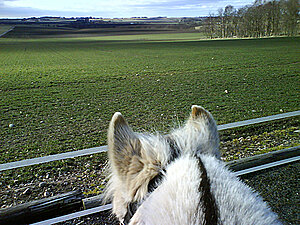 Klicka på bilden för större version

Namn: padd3.jpg
Visningar: 107
Storlek: 304,3 KB
ID: 2341140