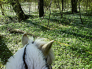 Klicka på bilden för större version

Namn: mob5.jpg
Visningar: 103
Storlek: 409,6 KB
ID: 2341222