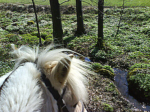 Klicka på bilden för större version

Namn: mob9.jpg
Visningar: 101
Storlek: 362,0 KB
ID: 2341223