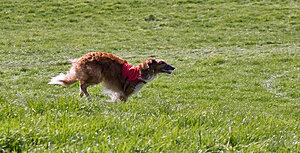 Klicka på bilden för större version

Namn: lc1.jpg
Visningar: 102
Storlek: 887,7 KB
ID: 2341231