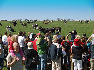 Klicka på bilden för större version

Namn: Betessläpp 2.jpg
Visningar: 197
Storlek: 209,1 KB
ID: 2341240